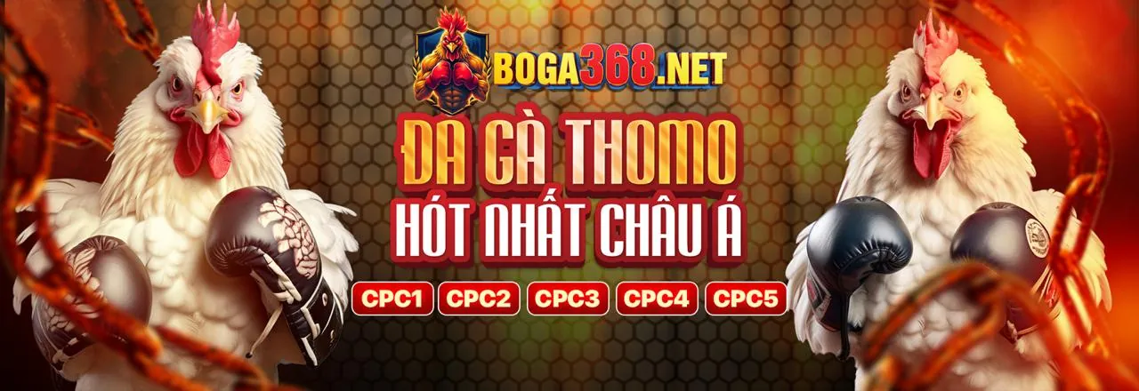 Khuyến mãi hấp dẫn từ pg1 nhà cái